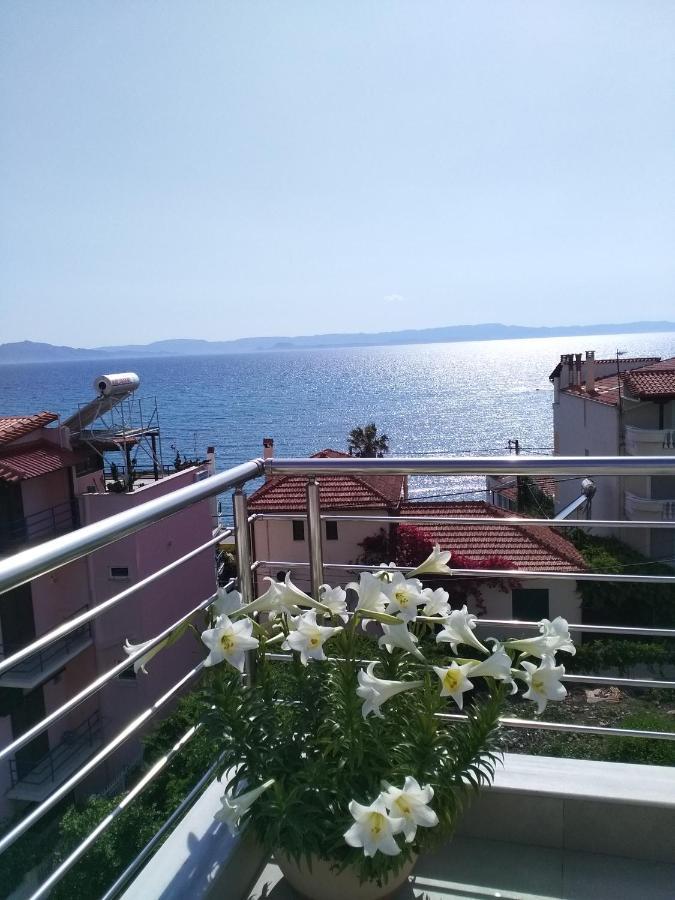 Alkioni'S Nest Apartments Arkoudi Bagian luar foto